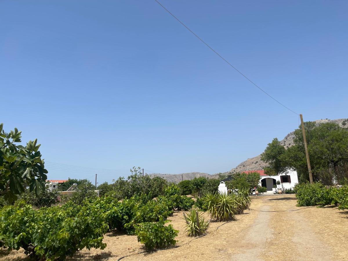 Aegean Endless Summer Villa Pefkos Pefki Eksteriør billede